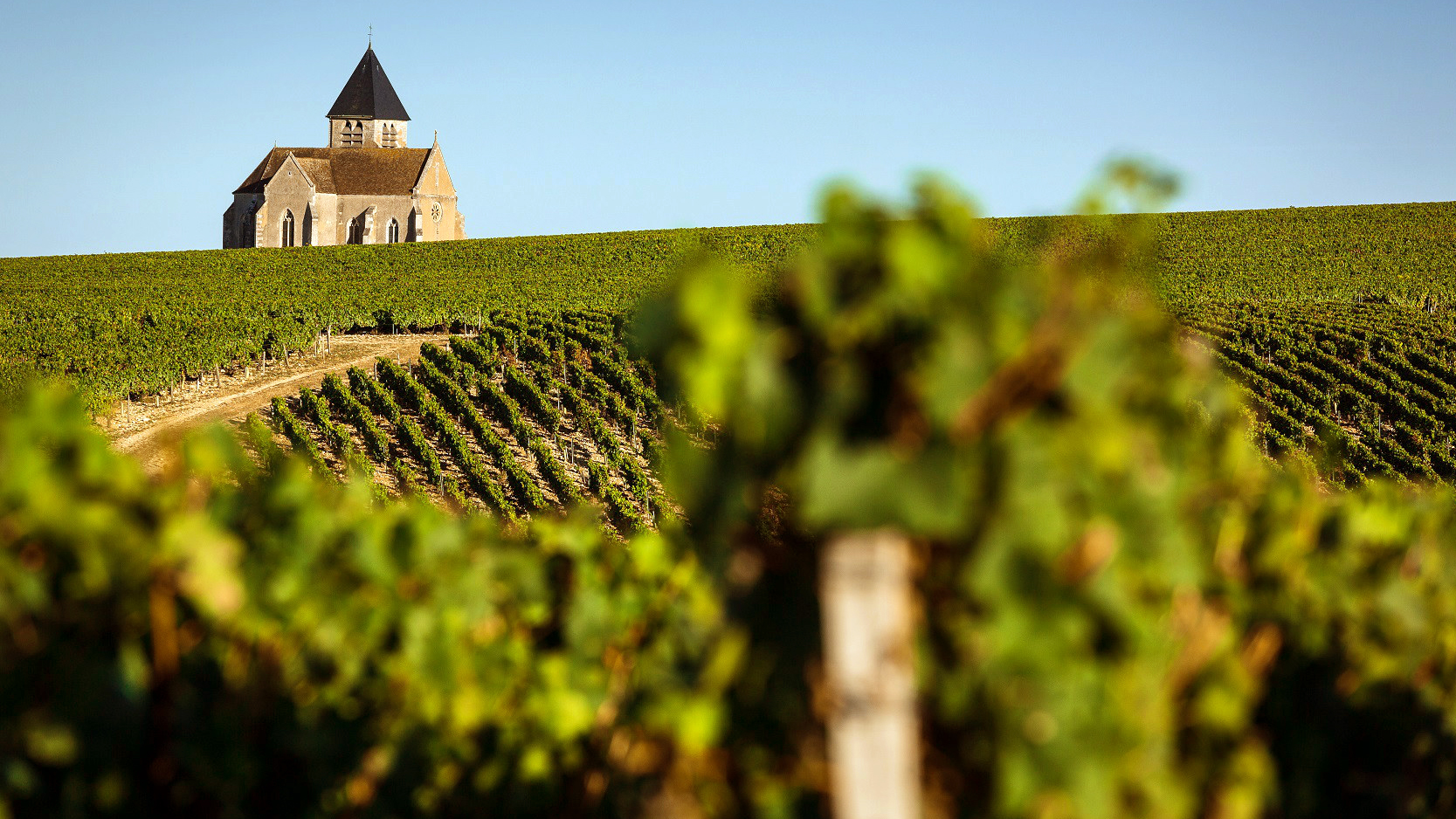 Chablis