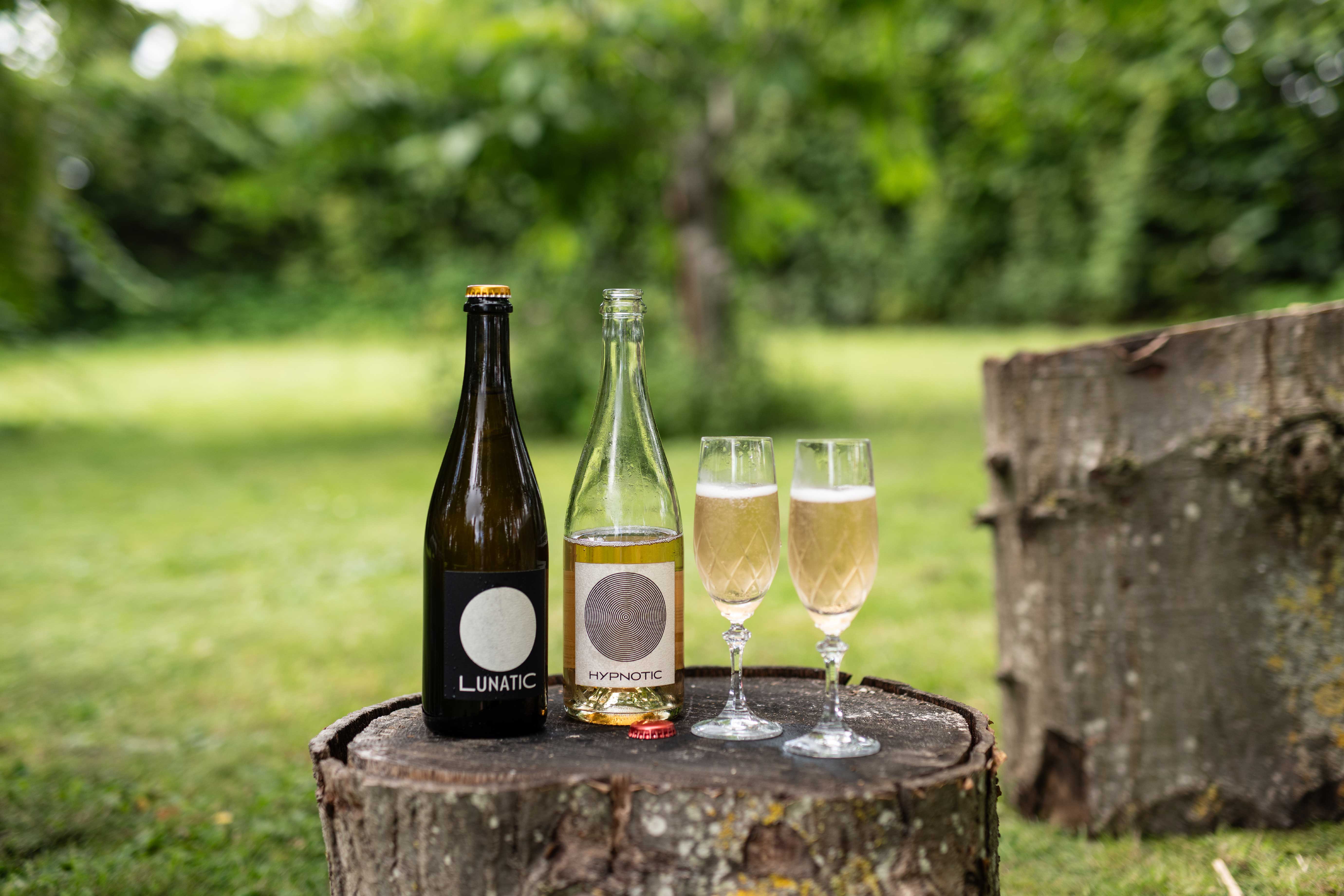 Domaine Frédéric Mabileau – umanipulerede vine fra Loire
